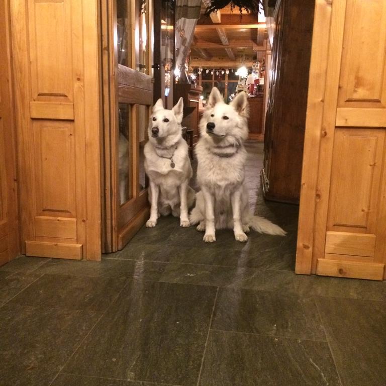 Hotel Lyshaus Gressoney-Saint-Jean Dış mekan fotoğraf